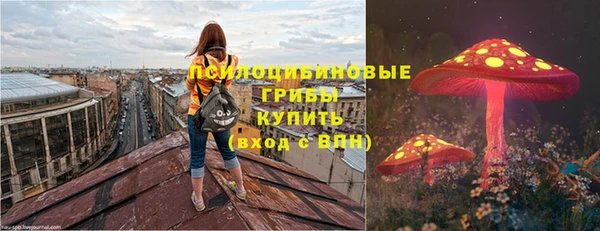 герыч Алексин