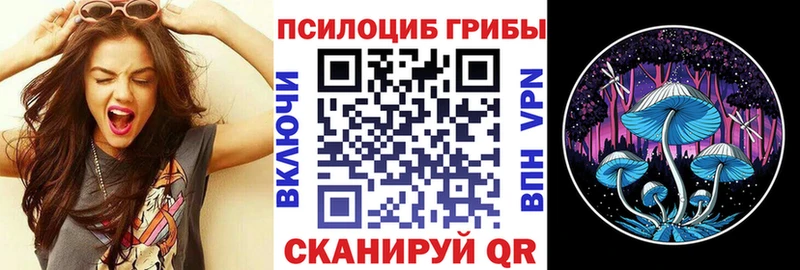 ссылка на мегу ТОР  Жуковка  Галлюциногенные грибы GOLDEN TEACHER 