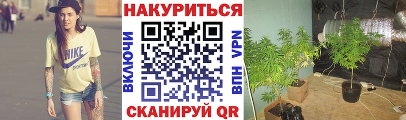 МЕГА сайт  даркнет официальный сайт  Бошки марихуана Ganja  Жуковка 